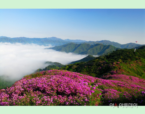 부산역, ‘지리산 바래봉 철쭉제-남원 춘향제 기차여행’ 상품