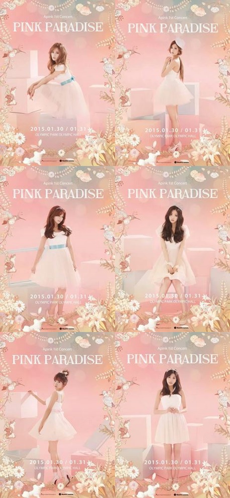 A-Pink releases individual posters for upcoming concert