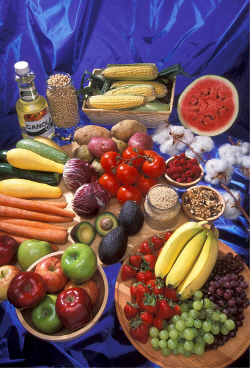 genetically-modified-foods-520861_1280