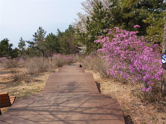 정상부 경관 이미지