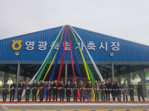 영광전자 이미지