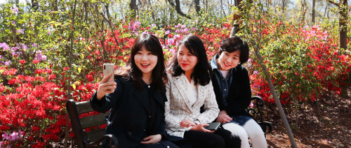 대궐 이미지