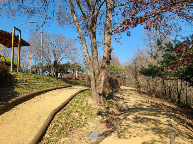 침산공원 이미지