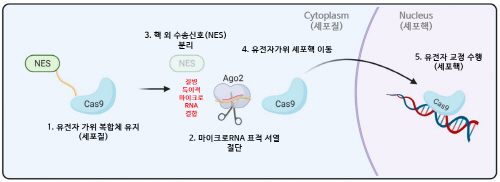 가위스토리 이미지