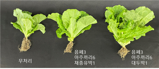 세연개발 이미지