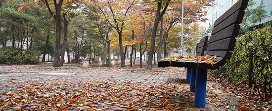 가을이 가기전에 - 아시아투데이