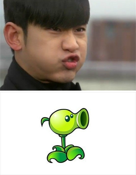 金秀贤表情"碉堡" 像极《植物大战僵尸》!