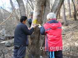 남양주몸에좋은고로쇠수액