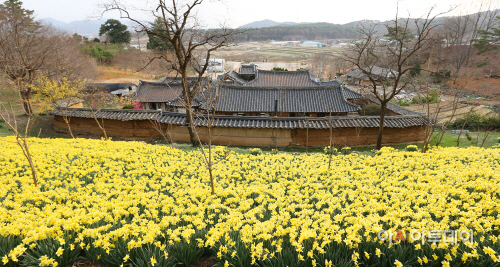 (서산)0331_유기방가옥(3)