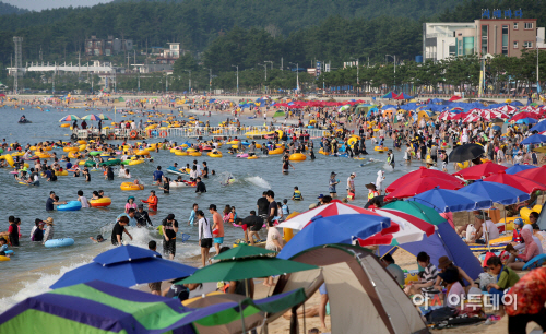 지난해 만리포해수욕장 모습