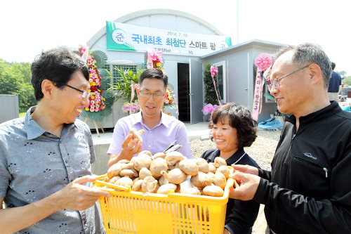 [KT사진자료]강릉식물공장_140711