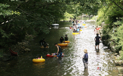 (서산)0804 서산 용현계곡(2)