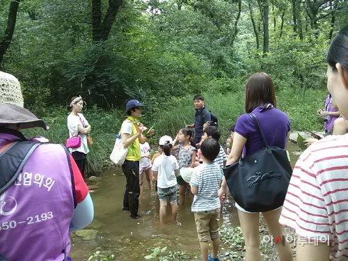 2013년 여름 생태학교