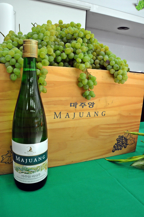 마주앙 미사주