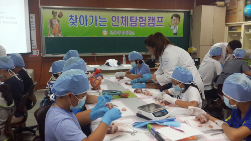 안성교육지원청, 여름방학 인체탐험캠프 개최