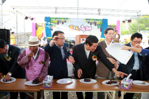 안성시, 포도축제 놀러오세요!
