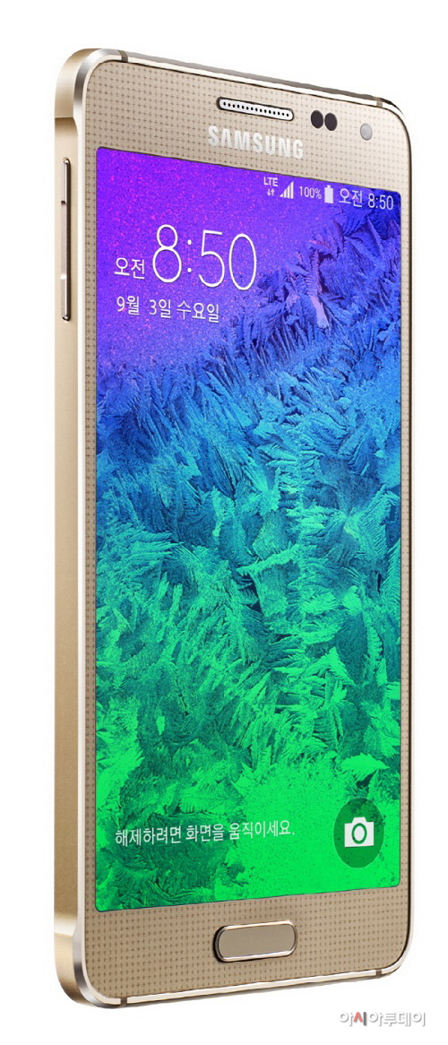 골드