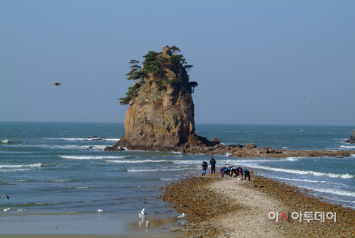 사본 -[사진]태안 꽃지해변