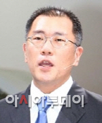 정의선 현대차부회장 인물용
