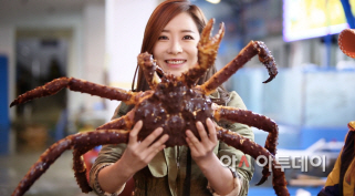 안소미