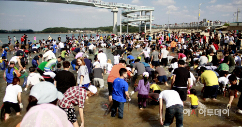안면도백사장항 대하축제장 모습 (1)