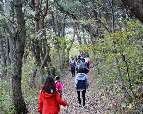 (서산)1028 서산 아라메길(1)