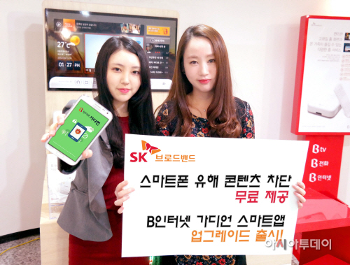 B인터넷가디언