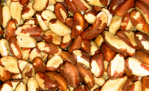 Brazil_nuts