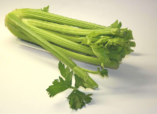 celery-74333_640