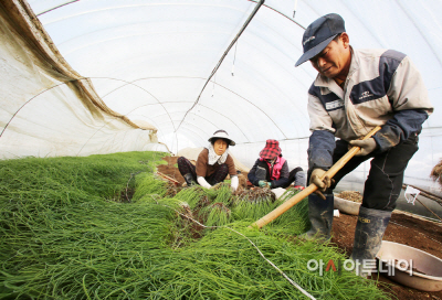 (서산)1210 서산달래(1)