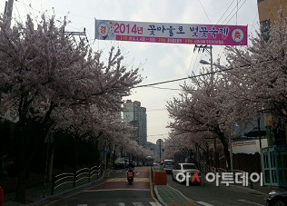 부산 서구 서대신4동, '꽃마을로 벚꽃축제' 내달 3~4일 개최