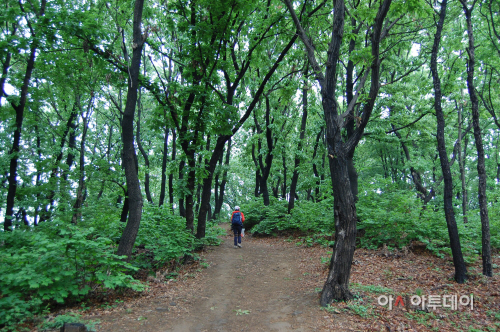 서울 구로지양산숲길1