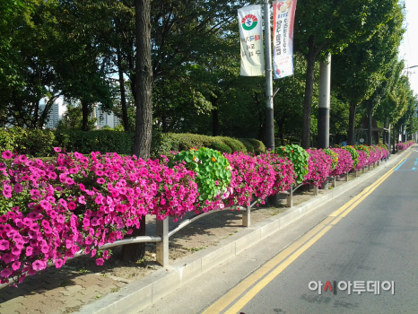 난간걸이 화분