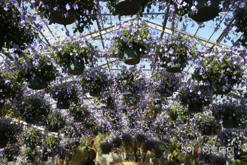 아산 세계꽃식물원