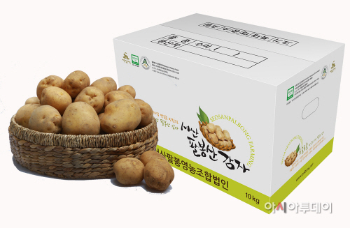 (서산)0327 팔봉산감자(2)