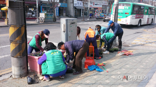 봄꽃식재