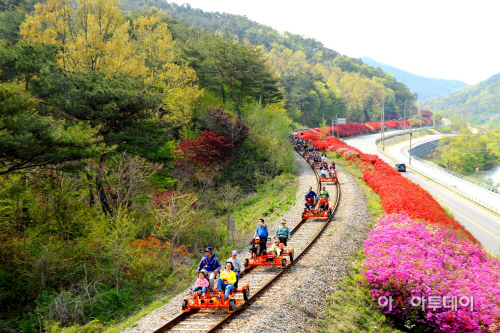 곡성 섬진강변_레일바이크
