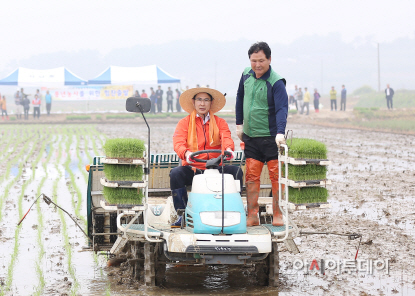 (서산)0515 이완섭시장 모내기 시연(1)