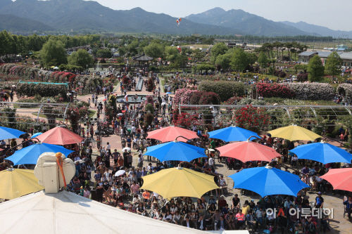 곡성 제5회 세계장미축제