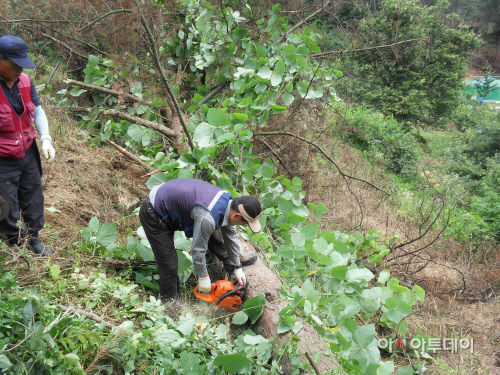 산림가꾸기