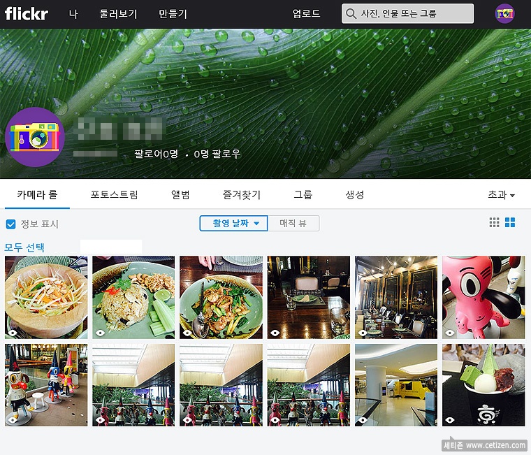  사진백업 앱 알아보기