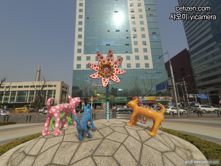  Xiaomi YiCamera 화각비교