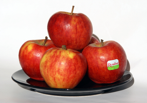 Rubens_apples_on_plate