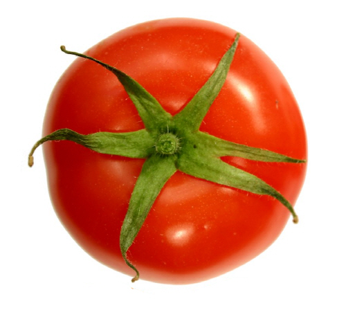 Tomato-top