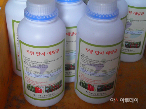 고추탄저예방미생물