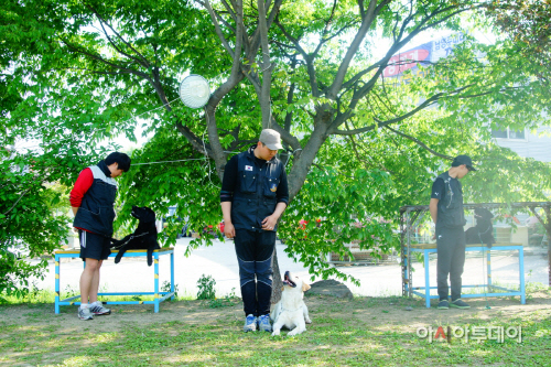 금강애견훈련학교 훈련