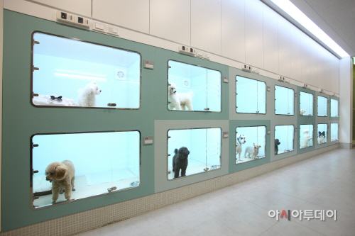 이리온 반려견호텔