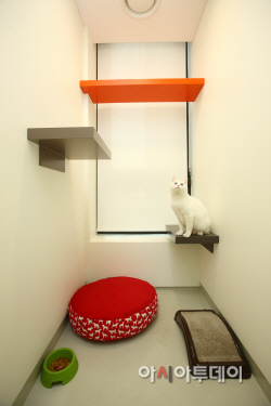 이리온 반려묘호텔