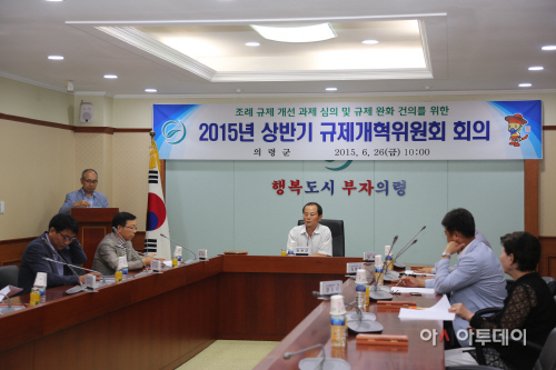 의령군,규제개혁위원회