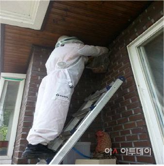 벌집제거2